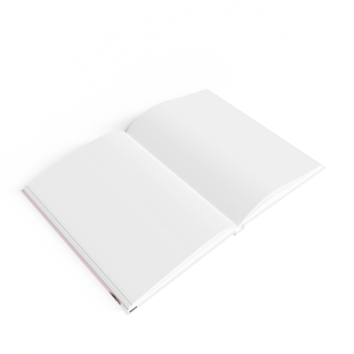 Little book of ideas Journal - Blank
